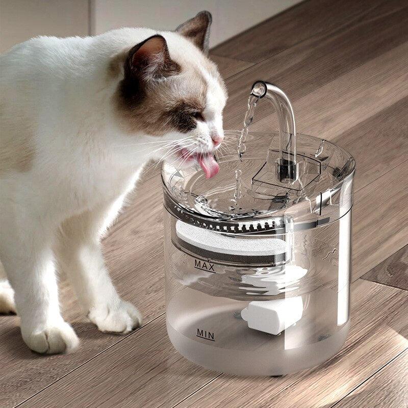 Cat Dog Water Fountain Filter Automatic Sensor Drinker For Cats Feeder Pet Water Dispenser Auto Drinking Fountain 2L For Pets - MY WORLD