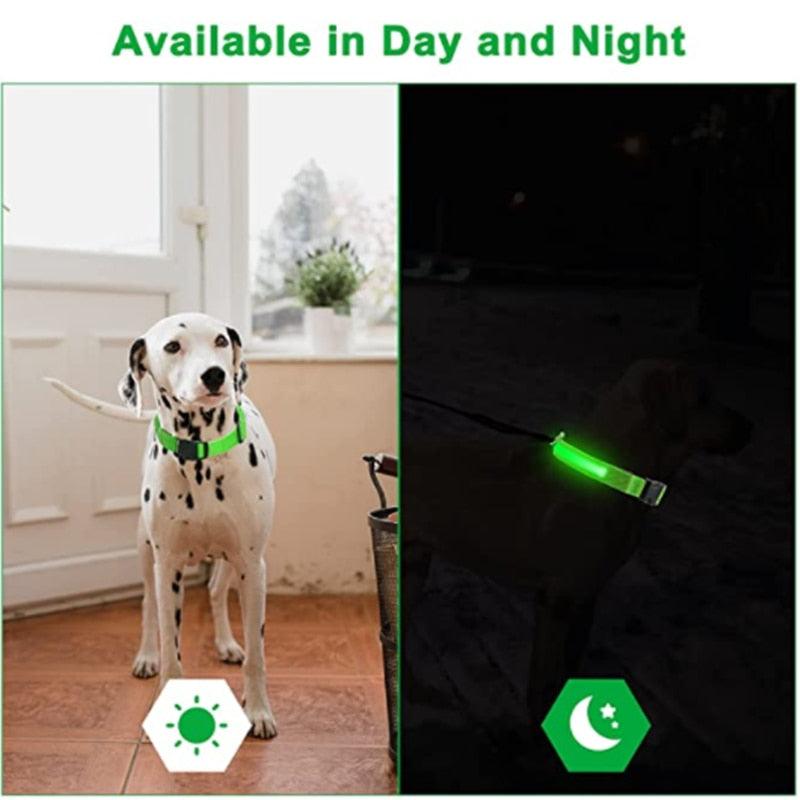 LED Glowing Dog Collar Adjustable Flashing Rechargea Luminous Collar Night Anti-Lost Dog Light HarnessFor Small Dog Pet Products - MY WORLD